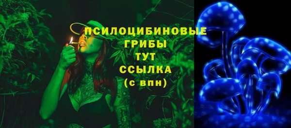 хмурый Абинск