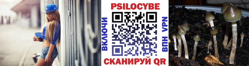 Галлюциногенные грибы MAGIC MUSHROOMS Ак-Довурак